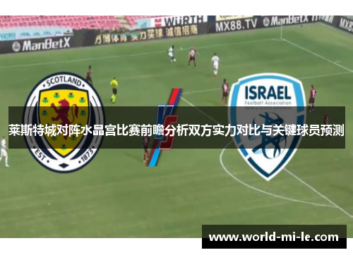 莱斯特城对阵水晶宫比赛前瞻分析双方实力对比与关键球员预测