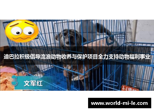 迪巴拉积极倡导流浪动物收养与保护项目全力支持动物福利事业