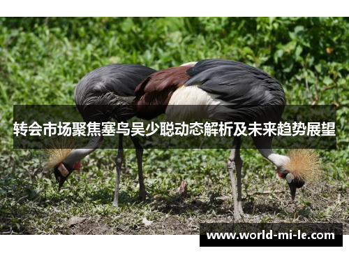 转会市场聚焦塞鸟吴少聪动态解析及未来趋势展望