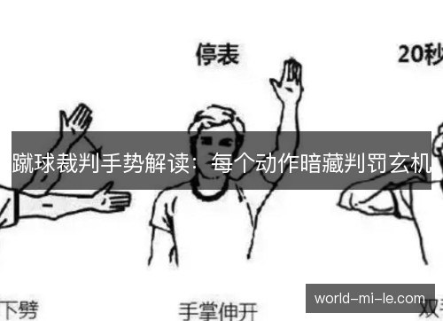 蹴球裁判手势解读：每个动作暗藏判罚玄机